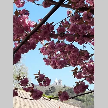 Na Plovarne - Podkrovni Mezonet S Klimatizaci * Mikulov
