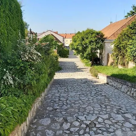 Na Plovarne - Podkrovni Mezonet S Klimatizaci Apartment *