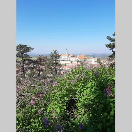 Na Plovarne - Podkrovni Mezonet S Klimatizaci Mikulov